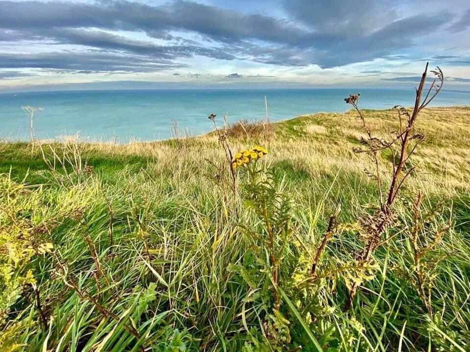 Plage A 50M Appartement Reves Ensoleilles Villa Les Bains De Mers Zewnętrze zdjęcie