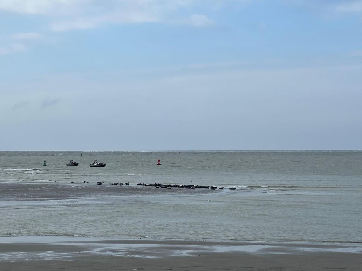 Plage A 50M Appartement Reves Ensoleilles Villa Les Bains De Mers Zewnętrze zdjęcie