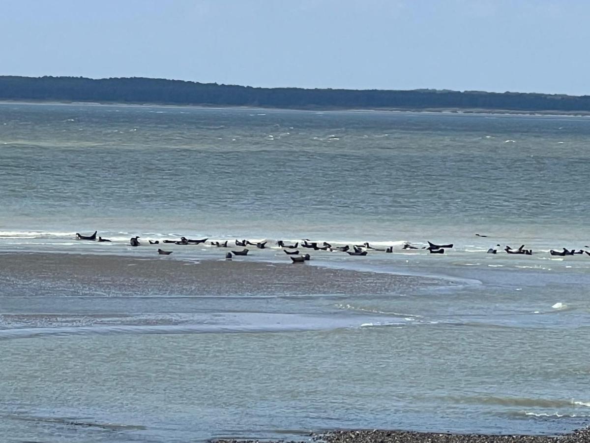 Plage A 50M Appartement Reves Ensoleilles Villa Les Bains De Mers Zewnętrze zdjęcie